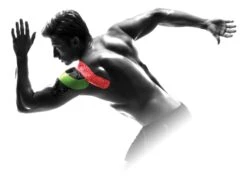 TheraBand® Kinesiology Tape, Bulk Roll - 2" X 103.3'