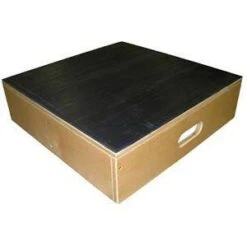 Bailey Bariatric Platform Stool 22" X 22"