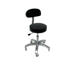 TouchAmerica Prostool With Back - Low Height Option